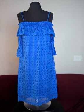 Large 💙 Eyelet Lace Cold-Shoulder Flutter Sleeve Dress